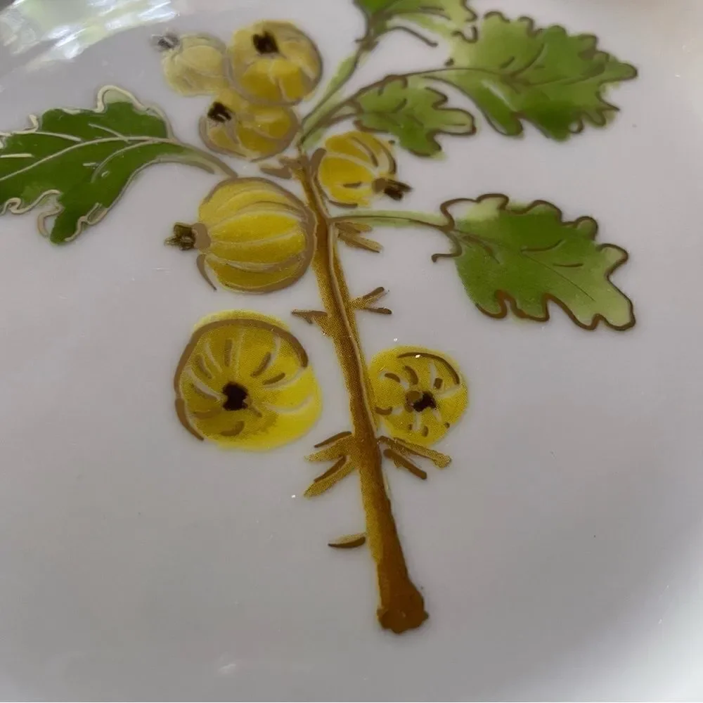 Crate & Barrel Monno Berries Salad Plate